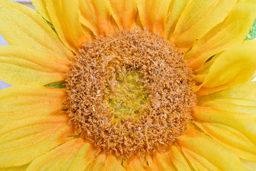 Similar image 854429