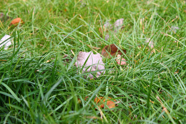 Similar image 854431