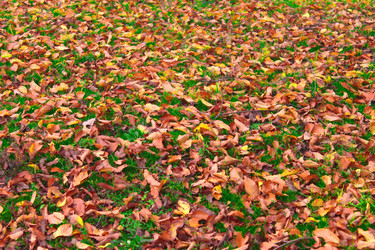 Similar image 854433