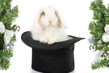 Similar image 854556