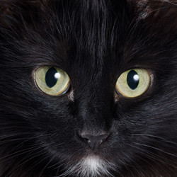 Similar image 854594