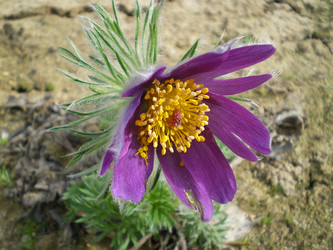 Similar image 854599