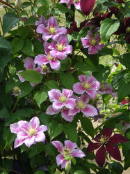 Similar image 854735