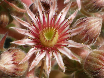 Similar image 854736