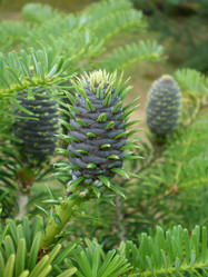 Similar image 854745