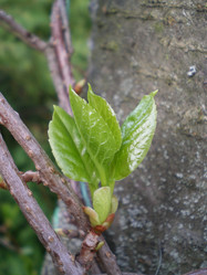 Similar image 854749