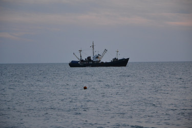 Similar image 854770