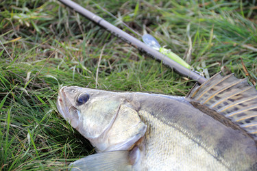 Similar image 854775