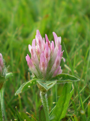 Similar image 854829