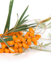 Similar image 854872