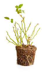 Similar image 854890