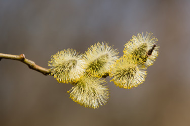 Similar image 854992