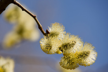 Similar image 854993