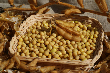 Similar image 855027