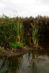 Similar image 855029