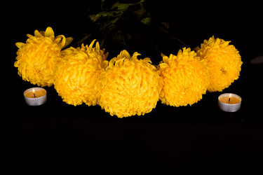 Similar image 855067