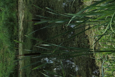 Similar image 855088