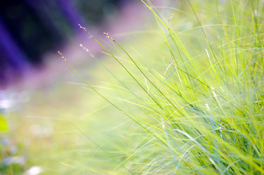 Similar image 855110