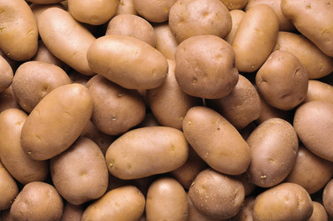 Similar image 855379