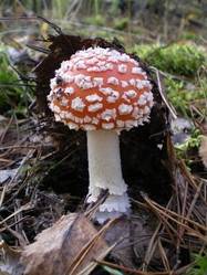 Similar image 855409