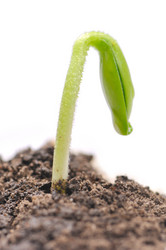 Similar image 855438