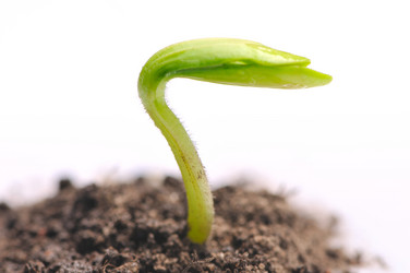 Similar image 855439