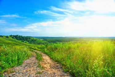 Similar image 855540