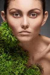 Similar image 855555