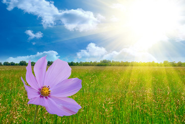 Similar image 855568