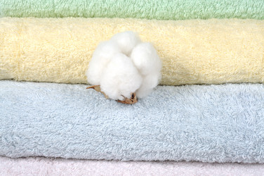 Similar image 855571