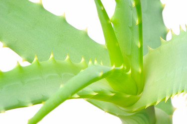 Similar image 855606