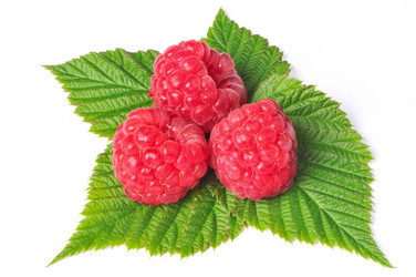 Similar image 855618