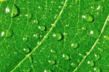 Similar image 855650