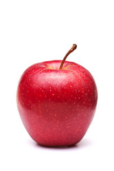 Similar image 855654