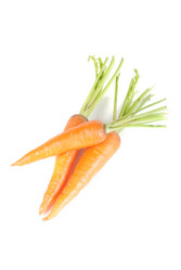 Similar image 855719