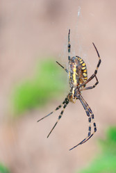 Similar image 855777