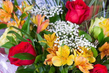 Similar image 855813