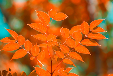 Similar image 855863