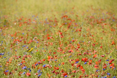 Similar image 856061