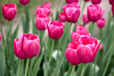 Similar image 856120