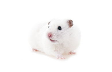 Similar image 856154