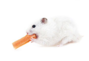 Similar image 856156