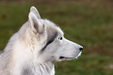 Similar image 856223