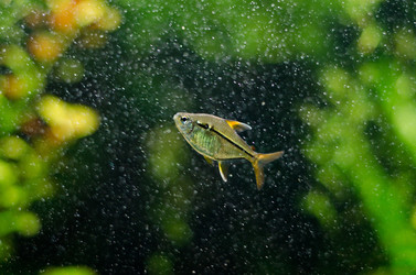 Similar image 856376