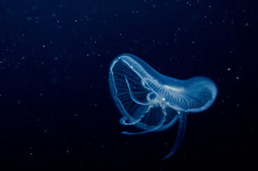 Similar image 856377