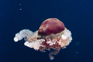 Similar image 856378