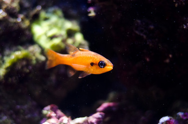 Similar image 856380