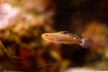 Similar image 856381