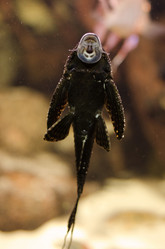 Similar image 856383