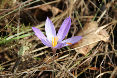 Similar image 856385